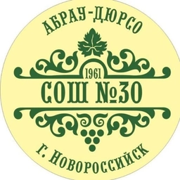 Аватар канала «МБОУ СОШ №30»
