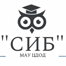 Аватар канала «МАУ ЦДОД "СИБ"»