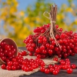 Аватар канала «ДЕТСКИЙ САД "КАЛИНКА"»