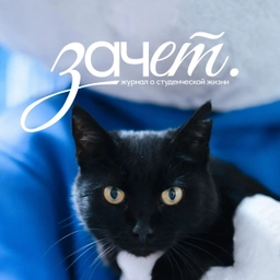 Аватар канала «Зачет | Сочинский государственный университет»