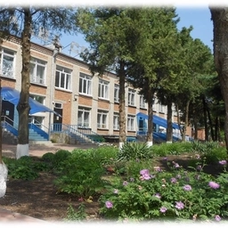 Аватар канала «МБДОУ ДС 26 «Ивушка»»