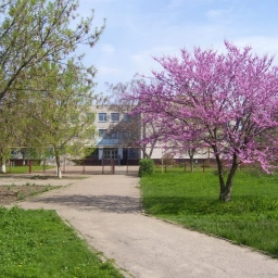 Аватар канала «МБОУ-СОШ №12 ст.Новониколаевской»