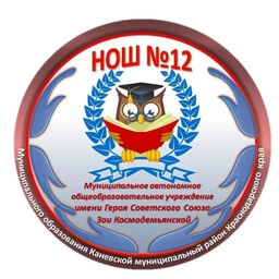 Аватар канала «МАОУ НОШ № 12»