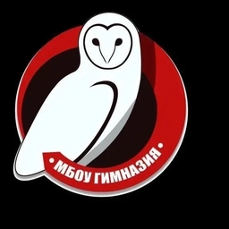 Аватар канала «МБОУ гимназия им. В.П.Сергейко станицы Ленинградской»