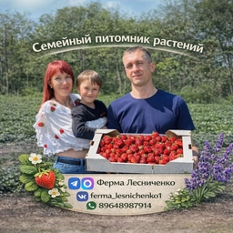 Аватар канала «Ферма Лесниченко 🍓Клубника 💜Лаванда🌱Теплица»