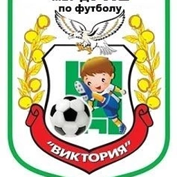 Аватар канала «МБУ ДО ССШ ПО ФУТБОЛУ "ВИКТОРИЯ"»