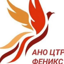 Аватар канала «Верим в Победу - АНО "Феникс"»