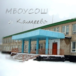 Аватар канала «Новости МБОУ СОШ с. Камеево»