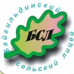 Аватар канала «МБОУ Байгильдинский сельский лицей им. Исмагилова Р.С.»