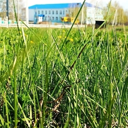 Аватар канала «МБОУ СОШ с. Первомайский МР Стерлибашевский район»