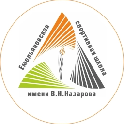 Аватар канала «Емельяновская спортивная школа | Центр тестирования ГТО»