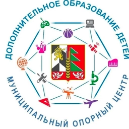 Аватар канала «МБУ ДО "ЦДО" Иланский»