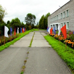 Аватар канала «МБОУ Шапкинская СОШ №11»