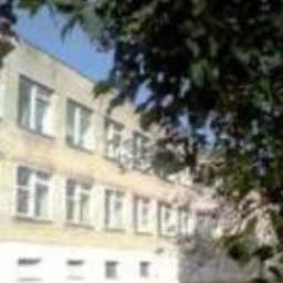 Аватар канала «Школа 8 с. Олений Артемовский городской округ»