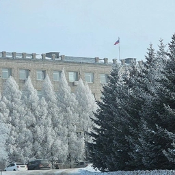 Аватар канала «Лесозаводский муниципальный округ»