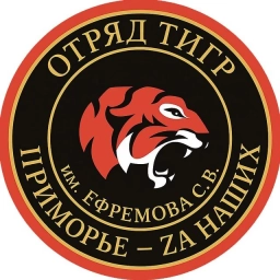Аватар канала «Добровольческий отряд «ТИГР»»