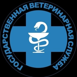 Аватар канала «КГБУ "Кировская ВСББЖ"»