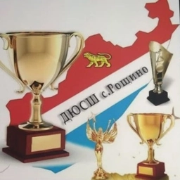 Аватар канала «МКУ ДО "ДЮСШ" с. Рощино»