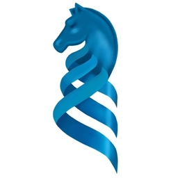 Аватар канала «Интеллектуальный клуб ДВФУ»