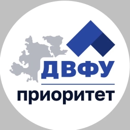 Аватар канала «ДВФУ | Приоритет 2030»