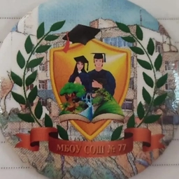 Аватар канала «МБОУ СОШ 77 г. Владивосток»