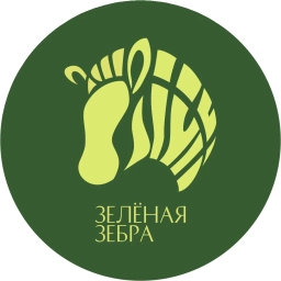 Аватар канала «Зеленая Зебра официальный канал»