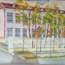 Аватар канала «Школа № 12 Владивостока»