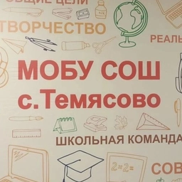 Аватар канала «МОБУ СОШ с. Темясово»