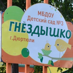 Аватар канала «МБДОУ Детский сад N 3 "Гнездышко" г.Дюртюли»