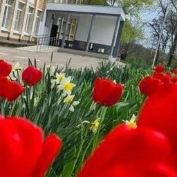 Аватар канала «МКОУ СОШ 4 с.Красное Грачевский муниципальный округ»