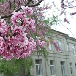 Аватар канала «Жизнь Первой Школы»