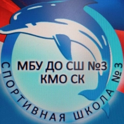 Аватар канала «МБУ ДО СШ № 3 КМО СК»