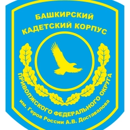 Аватар канала «Государственное бюджетное общеобразовательное учреждение Башкирский кадетский корпус Приволжского Федерального округа имени Героя России А.В.Доставалова»