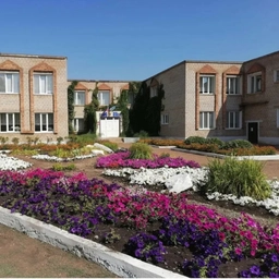 Аватар канала «Информационный канал МАДОУ 14 ТЕРЕМОК города Ишимбая»