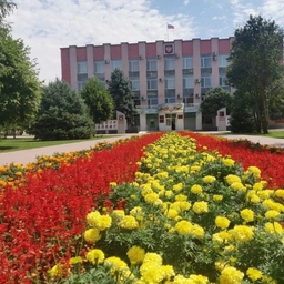 Аватар канала «Администрация Курского муниципального округа Ставропольского края»