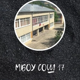 Аватар канала «МБОУ СОШ 17 г.Кисловодска - официальный канал»