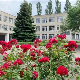 Аватар канала «МБОУ СОШ № 1 им. С.М. Кирова г. Невинномысска»