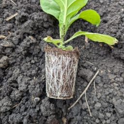 Аватар канала «АГРОТЕМА»