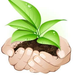 Аватар канала «МБДОУ детский сад №44 "Саженцы" г.Пятигорск»