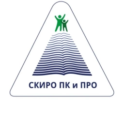 Аватар канала «СКИРО ПК и ПРО»