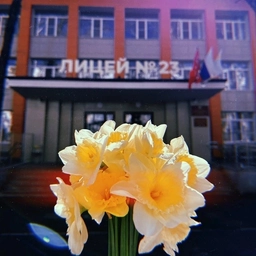 Аватар канала «МБОУ лицей №23 города Ставрополя»