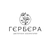 Аватар канала «ГЕРБЕРА ЦВЕТЫ СТАВРОПОЛЬ»