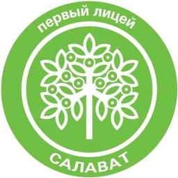 Аватар канала «Лицей №1 г. Салавата»