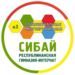 Аватар канала «ГБОУ РПМГИ № 3 "Сибай"»