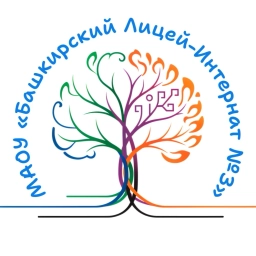 Аватар канала «МАОУ «БЛИ №3»»