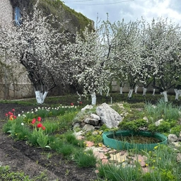 Аватар канала «МАУ ДО "Детский экологический центр " г.Стерлитамак»