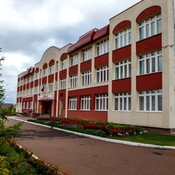 Аватар канала «МАОУ "СОШ №33 им Н.И. Суханова" г.Стерлитамак РБ»