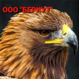 Аватар канала «УК ООО "Беркут"»