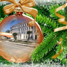 Аватар канала «Школа № 33 имени В.Д. Бубенина | Хабаровск»