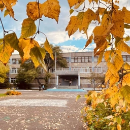 Аватар канала «Муниципальное общеобразовательное учреждение средняя общеобразовательная школа N 42»